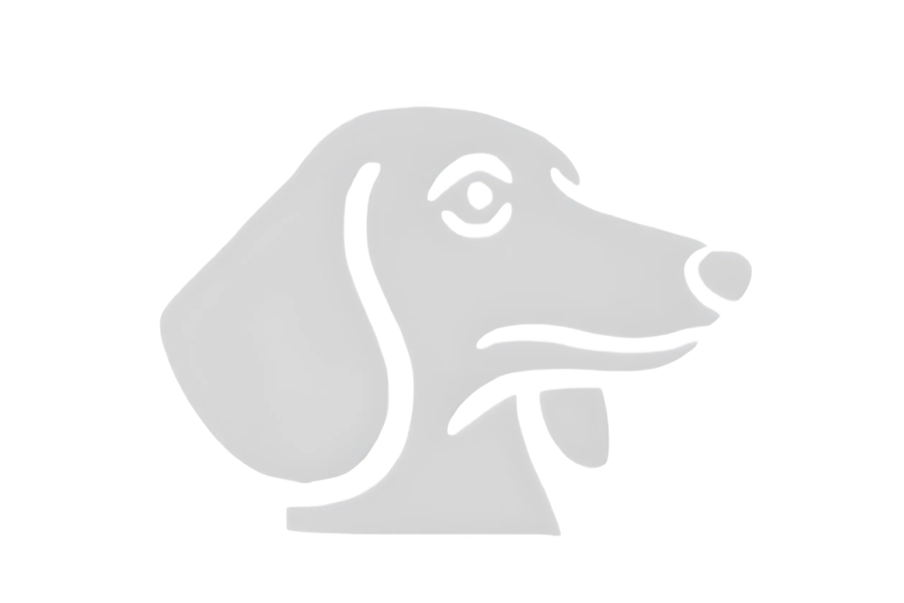 Logo Hover
